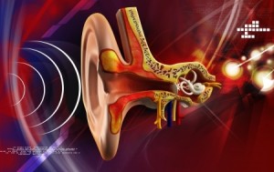 Benign Paroxysmal Positional Vertigo 